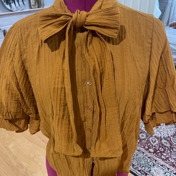 Zara tie blouse in burnt orange, size M. - Picture 2 of 4
